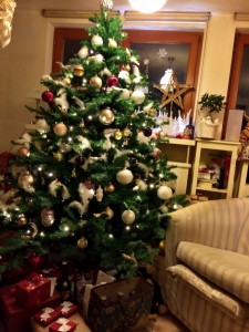 XMas 2014_2