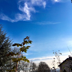 blue sky