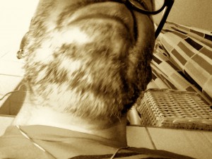 Ausdruck meiner Faulheit