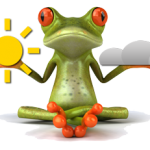 wie wird das Wetter?