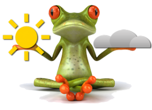 wie wird das Wetter?