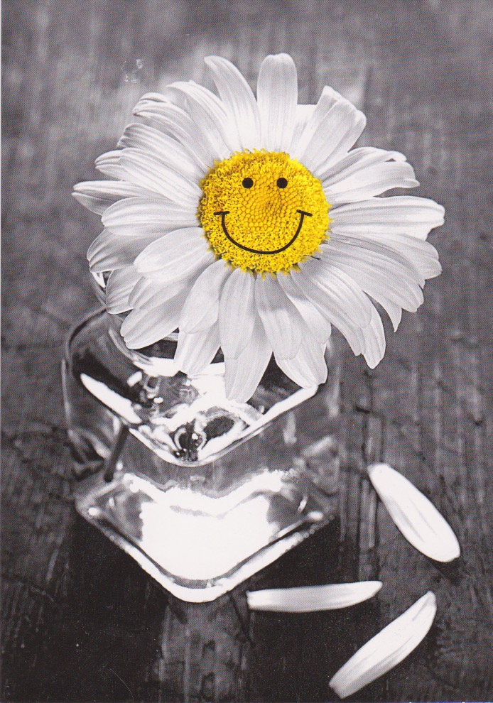 Sonnensmileblume